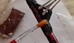 最新鱼竿爆料视频播放,视频爆料揭示创新设计与卓越性能